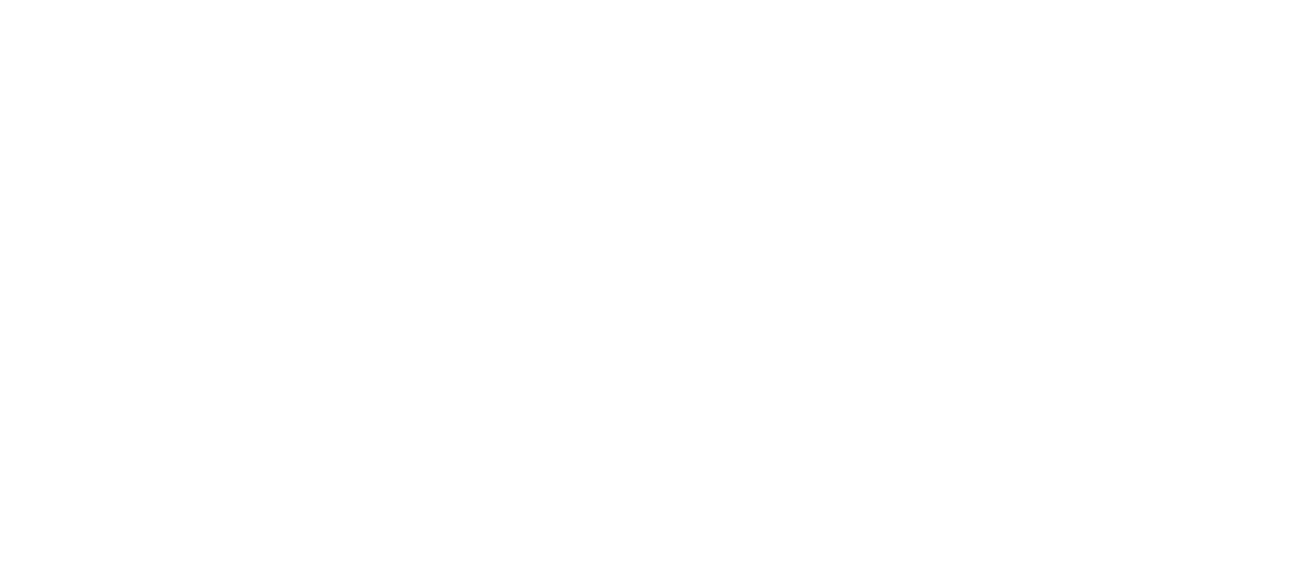 Hang 10 Digital Logo White